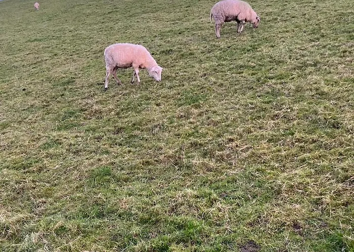 בית נופש Am Deich Mit Kueche, Balkon Und Smart-tv *